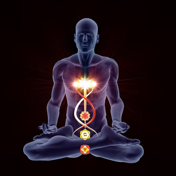 Sound healing Perth,Heal with Sound Silhouette,In,An,Enlightened,Yoga,Meditation,Pose,With,Four,Highlighted